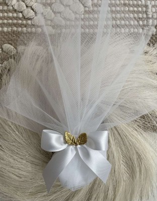 boboniera-gamou-touli-2026